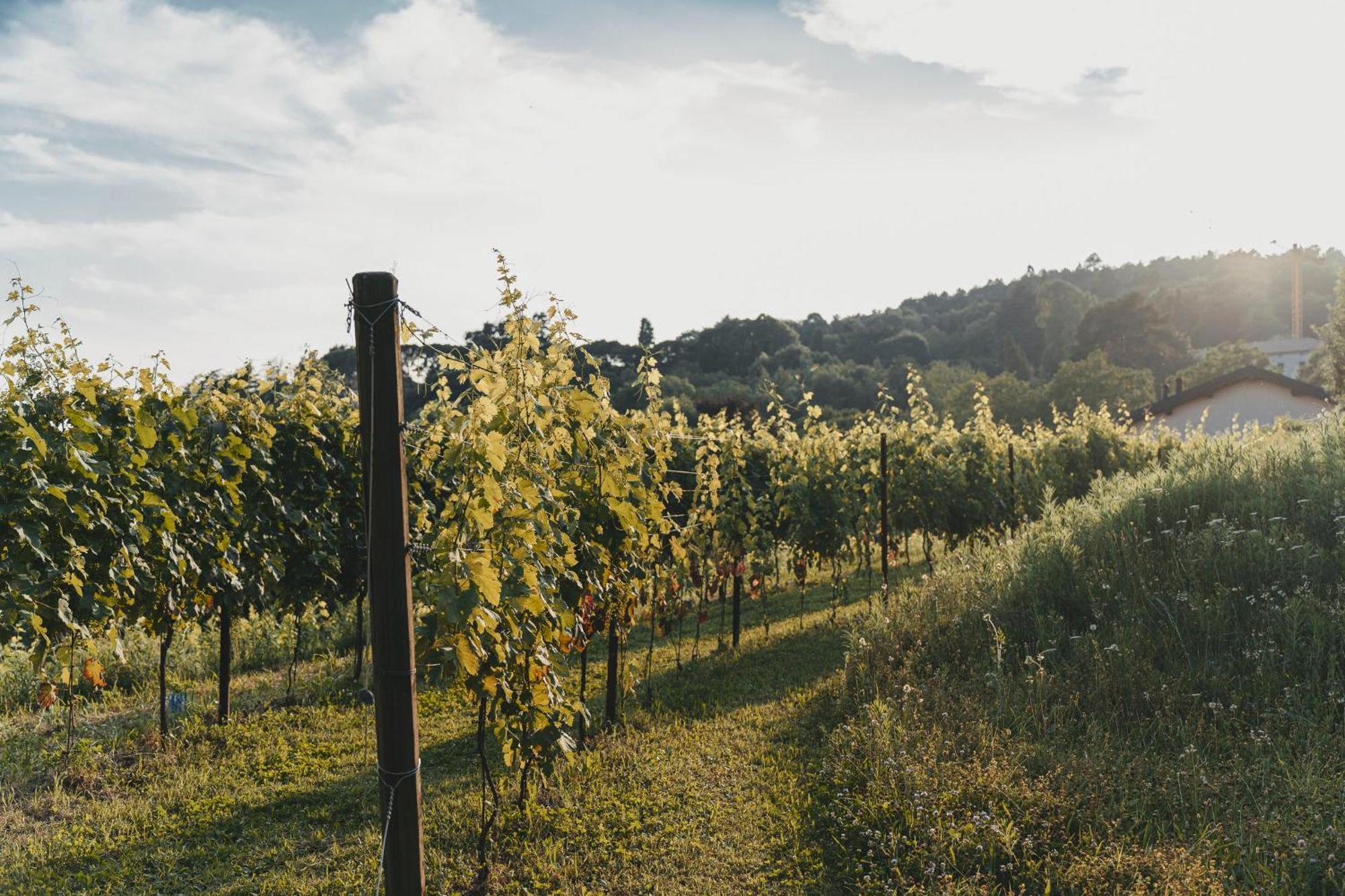 Tenuta Ronco Regio San Fermo della Battaglia Exteriör bild